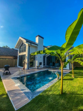 Sapanca Atli Kosk Villa